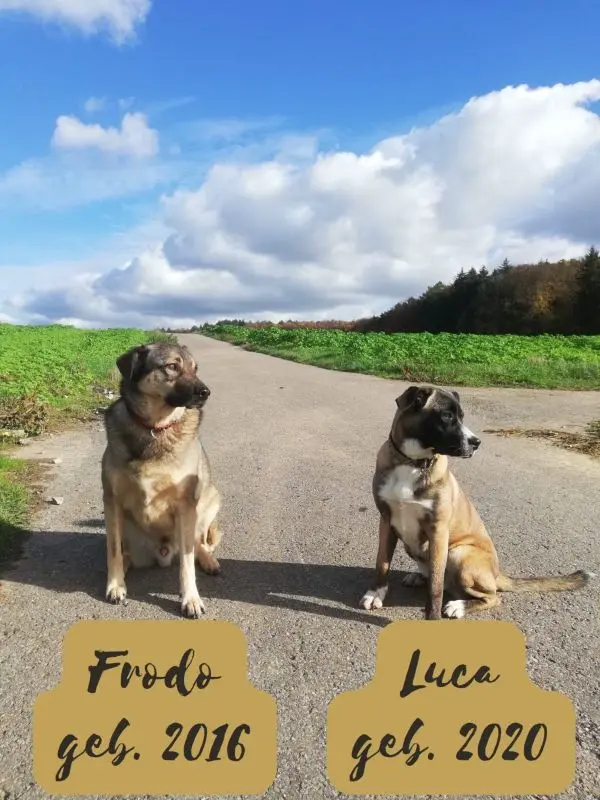 Frodo und Luca